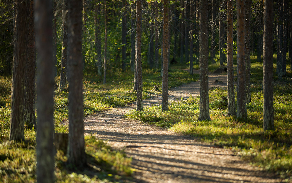 Compensation of ecosystem services as part of the ecological compensation of the Sakatti Project