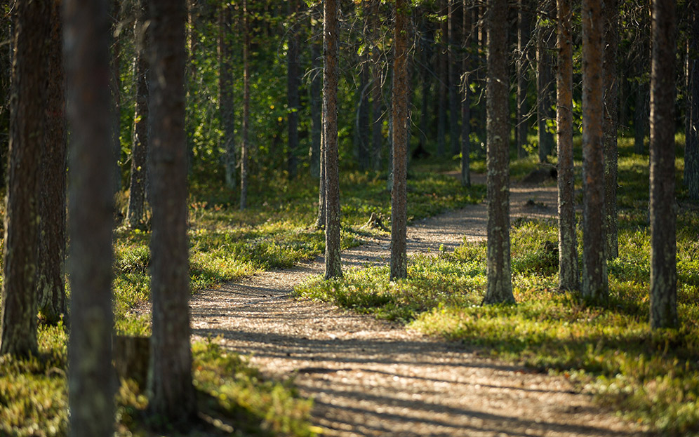 Ekosysteemipalveluiden kompensoiminen osana Sakatin kaivoshankkeen ekologista kompensaatiota